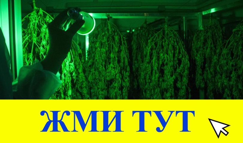 Купить наркотики в Туймазы